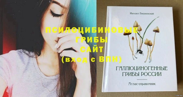 прущие грибы Балахна
