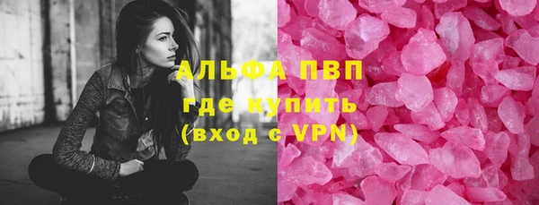 прущие грибы Балахна