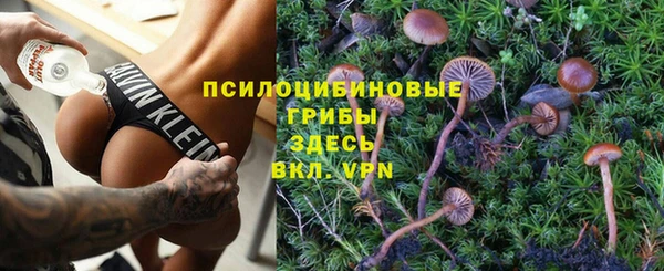 прущие грибы Балахна