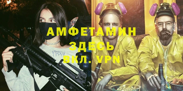 прущие грибы Балахна