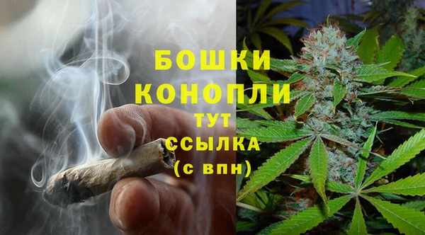 прущие грибы Балахна