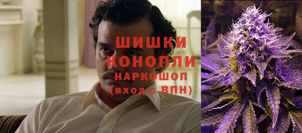 прущие грибы Балахна
